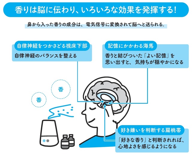 スタンフォード大医学部教授が指南 誰でもぐっすり眠る方法 資産形成ゴールドオンライン