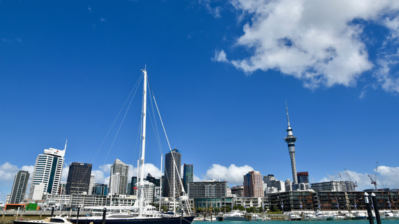 ラグビーでも注目集まる「ニュージーランド」…留学するなら？