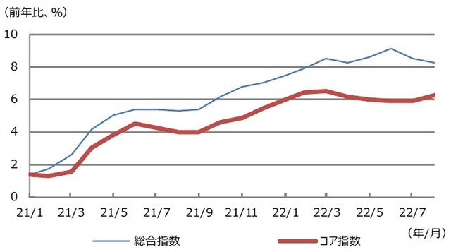 （注）データは2021年1月から2022年8月。コア指数はエネルギーと食品を除く指数。 （出所）Bloombergのデータを基に三井住友DSアセットマネジメント作成