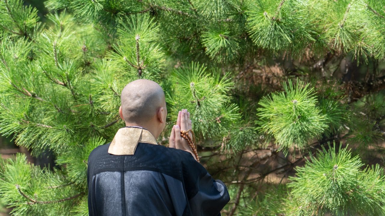 「樹木葬なんてしなきゃよかった…」墓じまいを急いだ50代長男を待っていた、親族からの罵倒と深い後悔