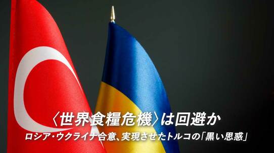 〈世界食糧危機〉は回避か…ロシア・ウクライナ合意、実現させたトルコの「黒い思惑」