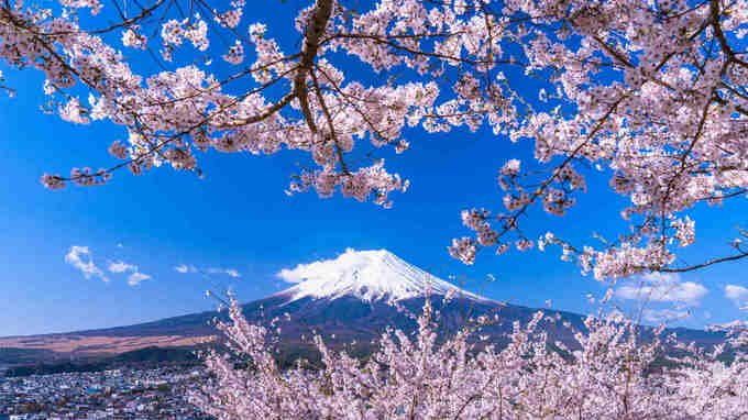 ラーメン、寿司、そば…外国人旅行客が最も満足した食事は？