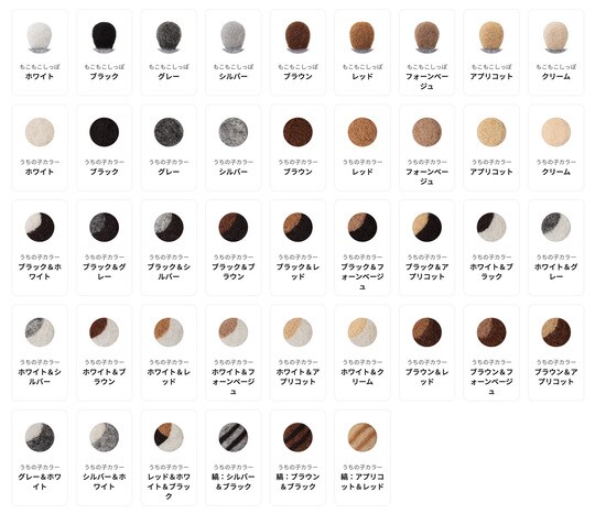 毛並みはその子の個性。背中の色、お腹の色、おでこの色、尻尾の色…その子のチャームポイントのカラーで選んで