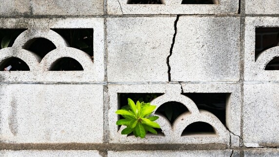 待って！ 相続した土地、隣人が通路として使ってる…「瑕疵のある不動産」への対処法【行政書士が助言】