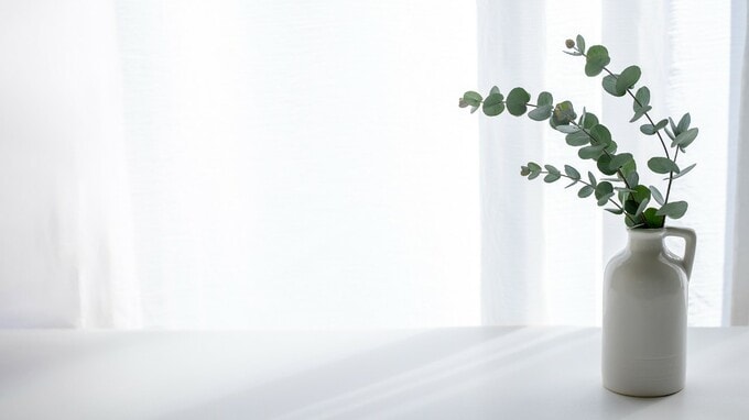 「何も持たないと決めたのに」月収20万円・ひとり暮らしの50歳女性、“孤独なミニマリスト生活”に“限界”を感じたワケ