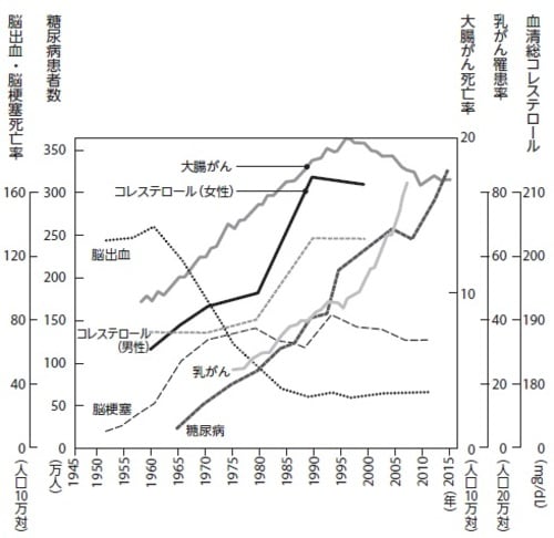 動物性食品の摂取が増えるにつれて脳出血が減り、代わりに脳梗塞、糖尿病、大腸がん、そして乳がんが増えています。脂肪も必要とはいえ、過ぎたるは猶(なお)及ばざるが如しです。(脳梗塞・脳出血:平成23年厚生労働省人口動態統計特殊調査、糖尿病患者数:厚生労働省患者調査、大腸がん死亡率:厚生労働省人口動態統計年報、乳がん発症率:国立がん研究センターがん対策情報センター地域がん登録全国推計によるがん罹患データ、総コレステロール値:第3次、第4次厚生省循環器疾患基礎調査、第5次厚生労働省循環器疾患基礎調査より作図)