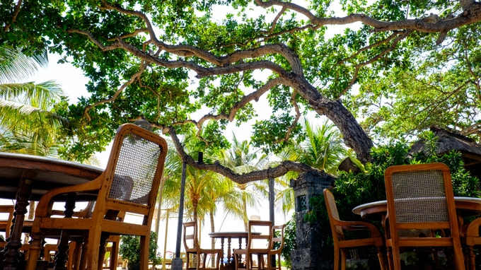 バリ島のヴィラ経営･･･「写真栄え」を意識した改装のメリット