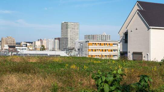 「駅近なのに…」誰も手を出さない〈遺跡〉を抱えた残念な土地