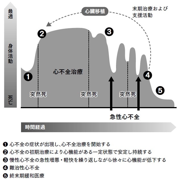 Goodlin SJ. J Am Coll cardiol 2009:54:386-96、倉敷中央病院心臓病センターHPより一部改変