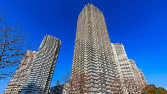 「無理して賃貸」高すぎる狭いタワマン…20代夫婦の抱いた、憧れと後悔