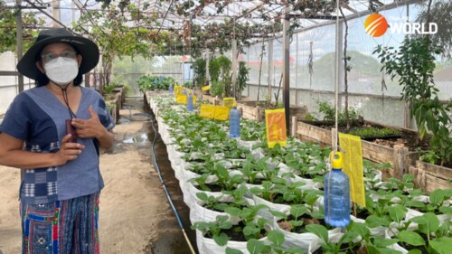 メー・グリーンロード（写真：Patcharee Luenguthai氏）