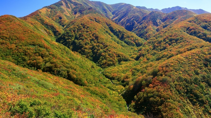 隣接地は市道か「赤道」か？　困難を極めた山の売却事例