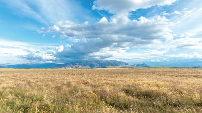 ニュージーランドの中古物件、外国人の購入が不可に…今後の選択肢は？