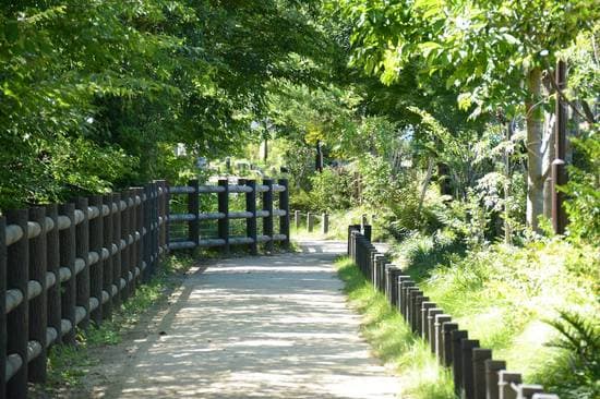 久我山周辺の玉川上水