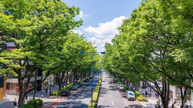 ミレニアル世代が鍵？「期間限定店舗」が表参道に急増するワケ