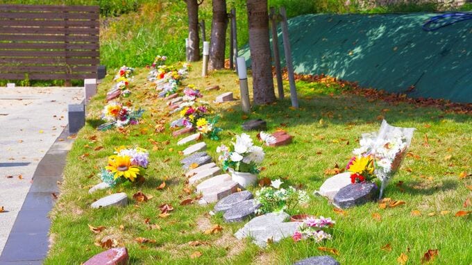 費用が安くて自然に還れるのがメリットだが、「樹木葬、やめておけばよかった…」そんな後悔をしないために知っておきたい注意点