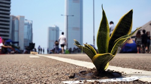 多くの人が「世界を変える」と叫んで、人生を棒に振ってきという。（※写真はイメージです／PIXTA）