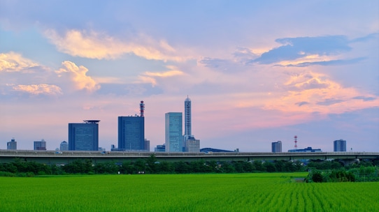 所得の65％は不動産収入!?  「都市農家」の現状と今後の課題