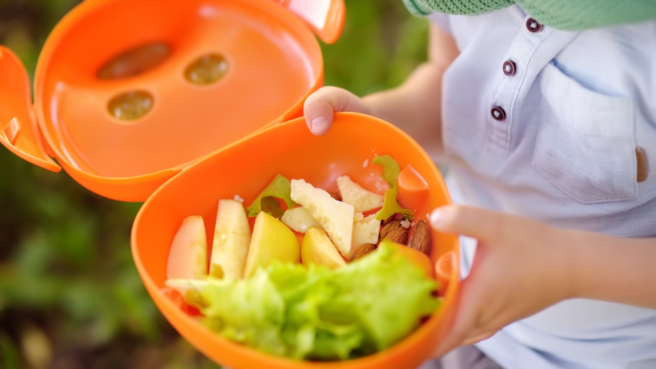 こんなお弁当を持たせるなんて、かわいそう…国際幼稚園の先生の「ひと言」。数日前に炊いた古いご飯、ベジタリアン、さまざまなランチを食べる園児たち