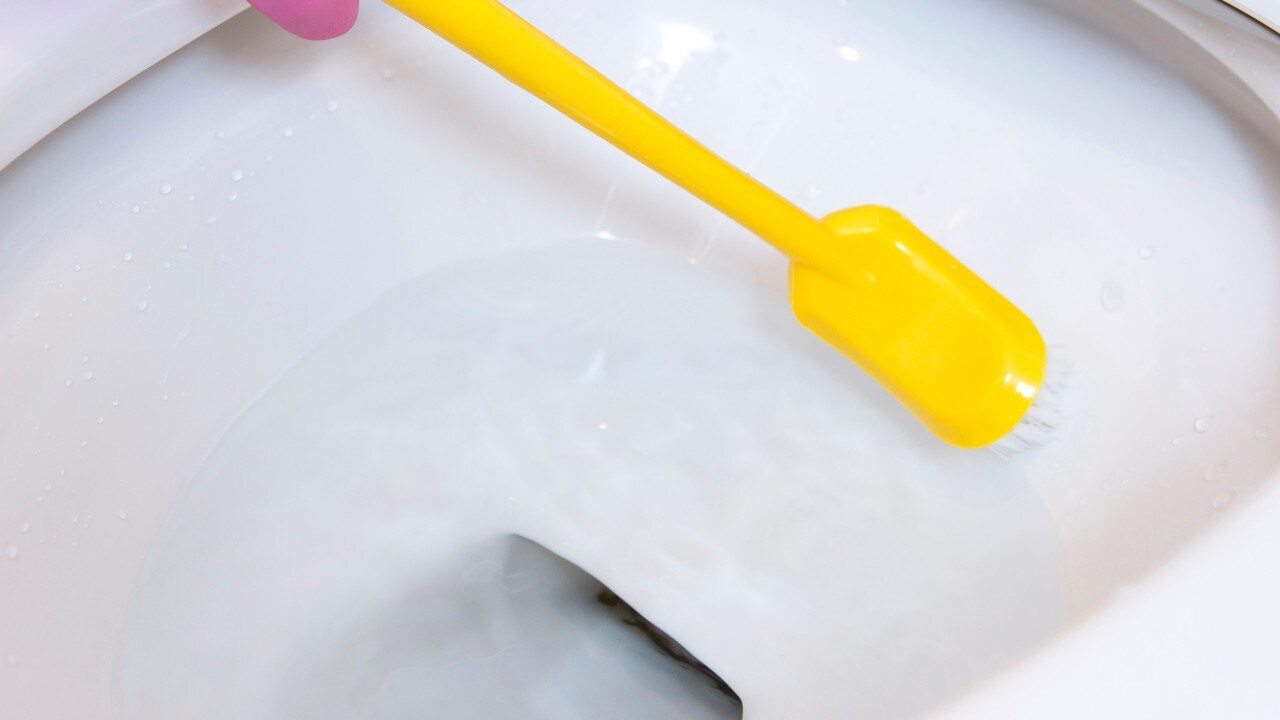 我が家のルール「3歳になったらトイレそうじ」が東大への道?