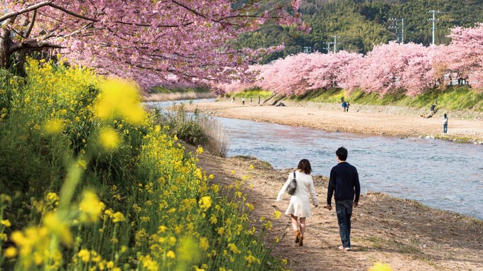 戸籍上の婚姻関係がない「事実婚」の妻に財産を遺す方法