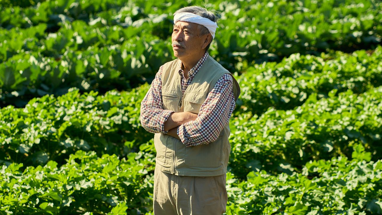 移住なんてやめときゃよかった…〈退職金1,800万円〉〈貯金2,800万円〉60歳定年男性の後悔。1反の畑を前に膝から崩れ落ちたワケ