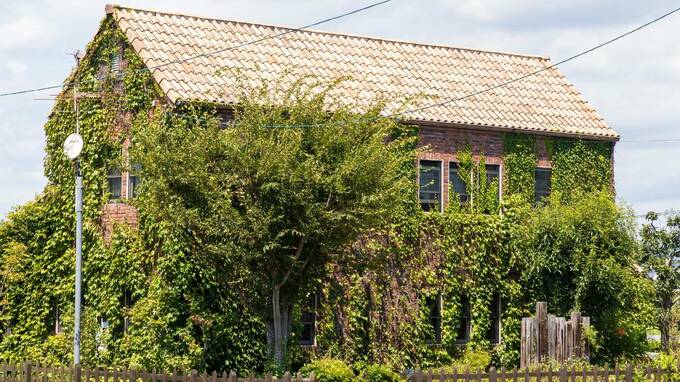 「ニッポンの空き家」の大問題…有利な相続 or 売却を実現する〈特例〉の最大活用術