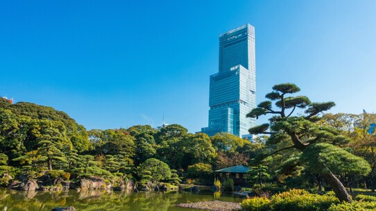 星野リゾート ナニワに挑む 追い風銘柄は?