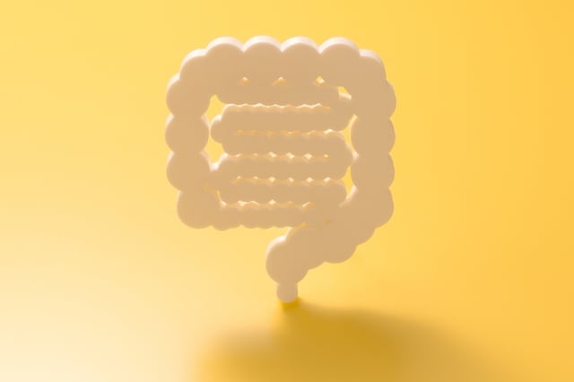 （※写真＝PIXTA）