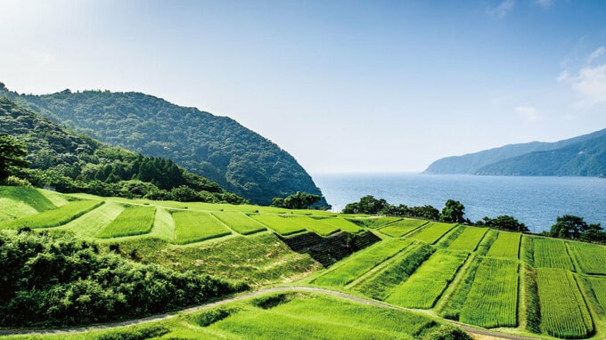 地域活性化を後押しする「ふるさと名物応援事業」の概要