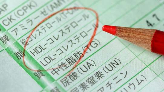 “コレステロールが高い”だけでは動脈硬化にならない。意外と知られていない「動脈硬化性疾患」の真因【医師が解説】