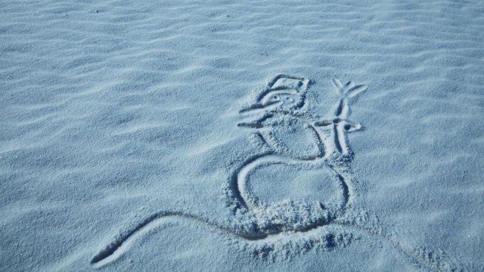 バフェットの言葉「株式投資はスノーボール」の真意とは？