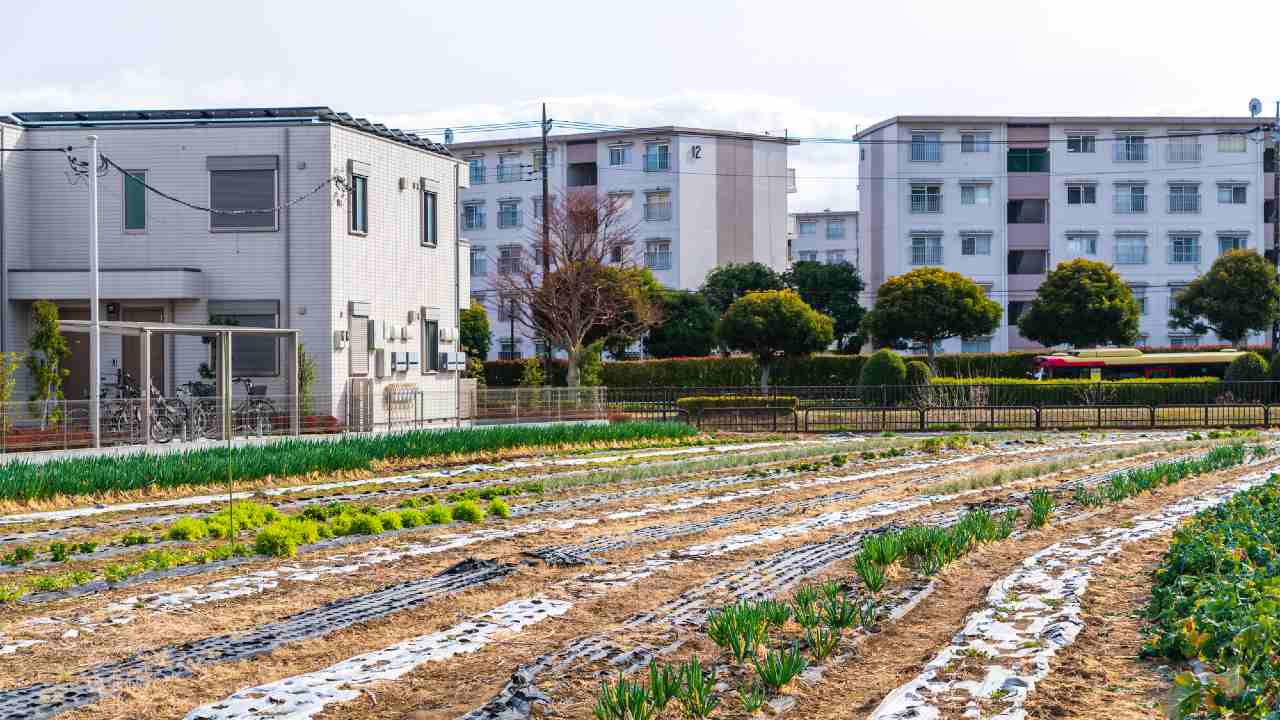 農地の相続…時系列で追う「発生する税金・納付期限」相続税編