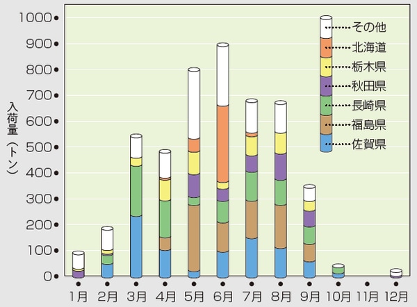 〈東京中央卸売市場〉