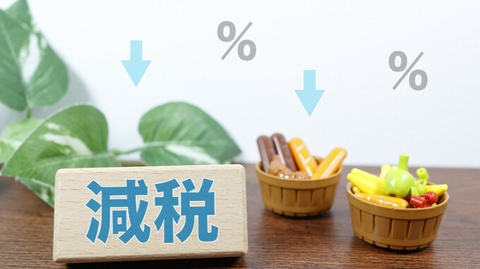 食料品消費税減税と給付付き税額控除ーー国民的議論に向けた論点を整理