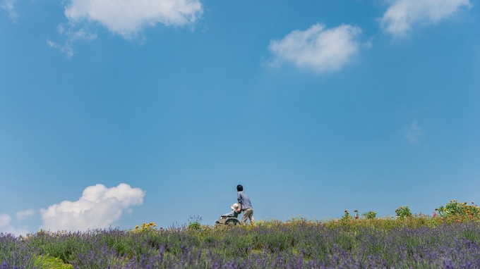 夫と死に別れ、身寄りがなくなった高齢女性のサポート事例②