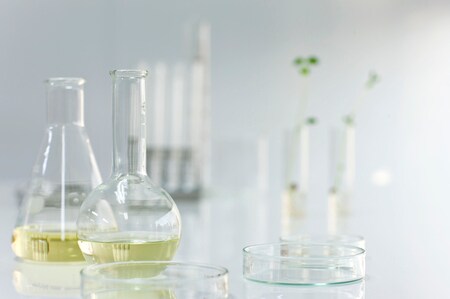 （※画像はイメージです/PIXTA）