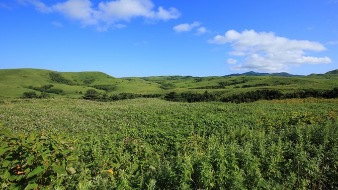 不良資産がある場合に「遺産分割」で生じる問題点とは？