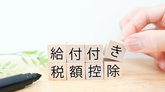 給付付き税額控除はこれまでと何が違うのか――特別減税・定額給付金・定額減税から読み解く日本の給付政策