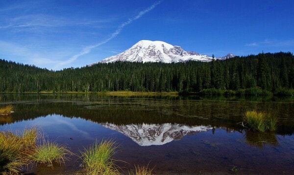 （提供元：PIXTA）