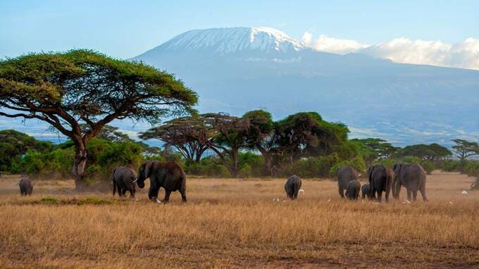 アフリカ諸国の税制に残る旧宗主国の影響…整備された制度と不十分な執行【国際税務の専門家が解説】