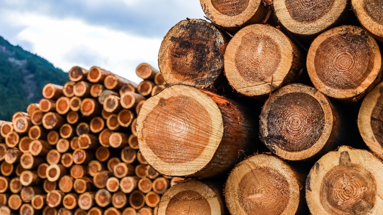 賃貸物件オーナー、戦慄…世界的な木材の需要急増〈ウッドショック〉が不動産市場に及ぼす影響