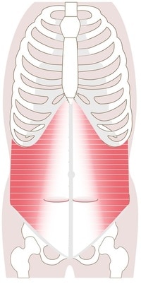 （※写真＝PIXTA）