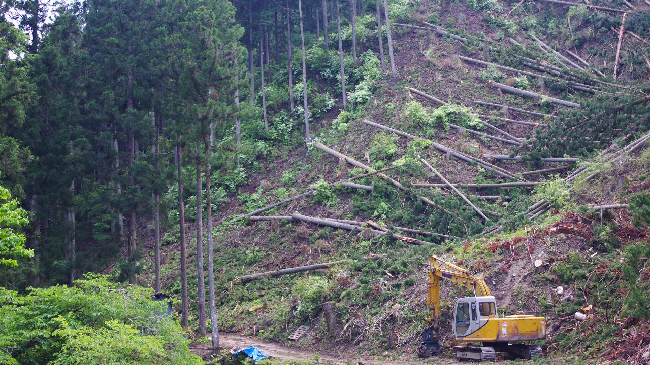 大量の所有者不明の土地…政府の「登記義務化」に見る経済効果