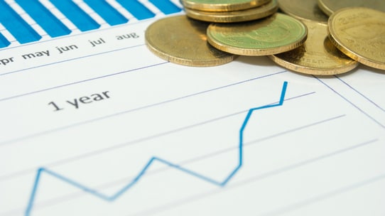 日本株への長期投資が「インフレヘッジ」に有効な理由
