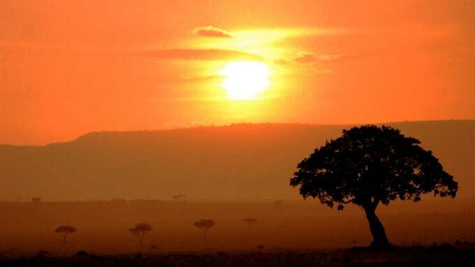 アフリカ諸国の相続税――なぜ最貧国にも相続税が？アフリカ諸国の“税の不思議”を探る【国際税務の専門家が解説】