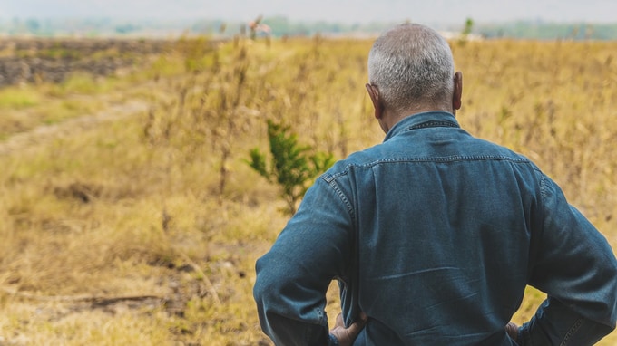 【制度開始から約2年半】相続土地国庫帰属制度の申請件数、2025年9月末で4,556件も…承認率約47％の実情