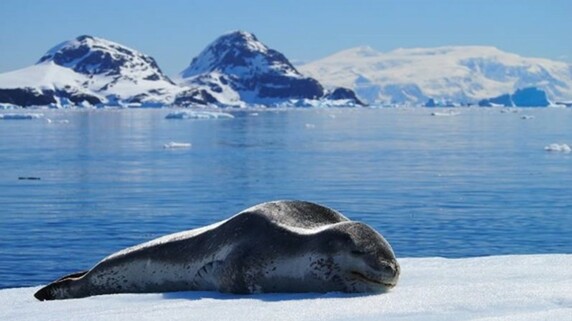 死ぬまでに1度は行きたい…「南極／北極クルーズ」で究極の非日常体験を