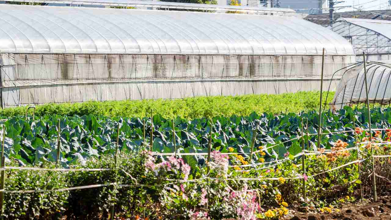 生産緑地「解除か否か」都市農家が苦悩する2022年の分かれ道