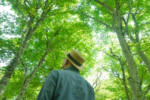 （※写真はイメージです／PIXTA）